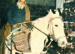 قلندر قلندر