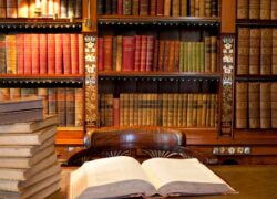 فضیلت کتابخانه بر سینما