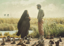 کم‌رنگ‌ولعاب و گاهی بی‌رنگ