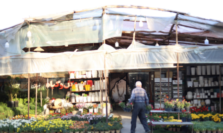 بوی عیدی، بوی گل…