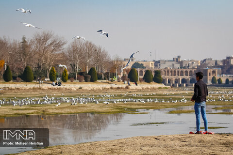 اصفهان هنوز خانه ماست