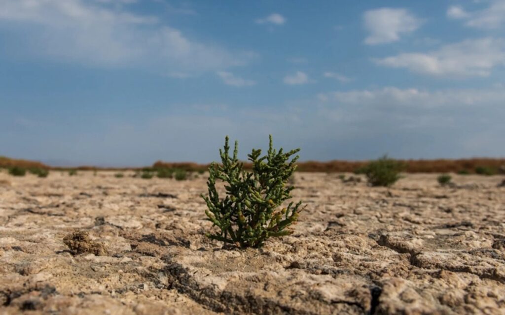 سووشون گاوخونی - اصفهان زیبا