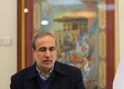 ولنگاری فرهنگی نتیجه جزیره‌ای شدن نهادهای فرهنگی است