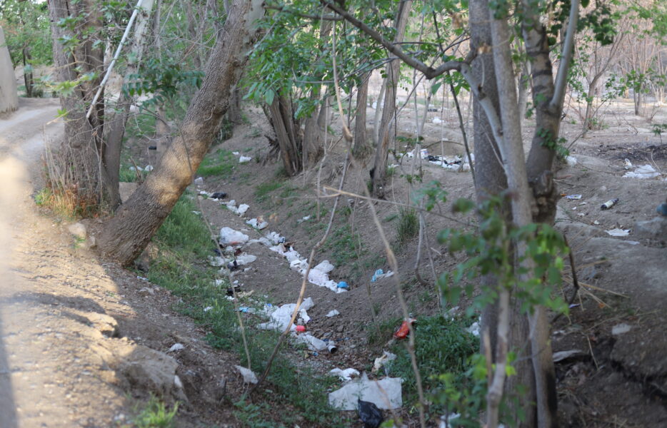 ریه خشک‌شده اصفهان