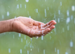 ایثار در باران و مه ایثار در باران و مه