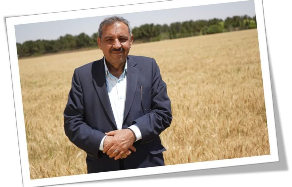 محمودآباد محله همدلی است محمودآباد محله همدلی است