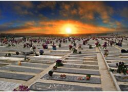 آمار فوت در سال ۱۴۰۳