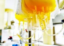 درآمد از فروش پلاسما؛ واقعیت چیست؟