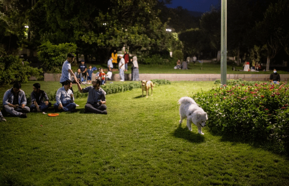 سگ‌گردانی در ایران؛ سبک زندگی جدید یا تهدید اجتماعی؟