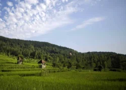 هفته آینده هوا خنک می‌شود