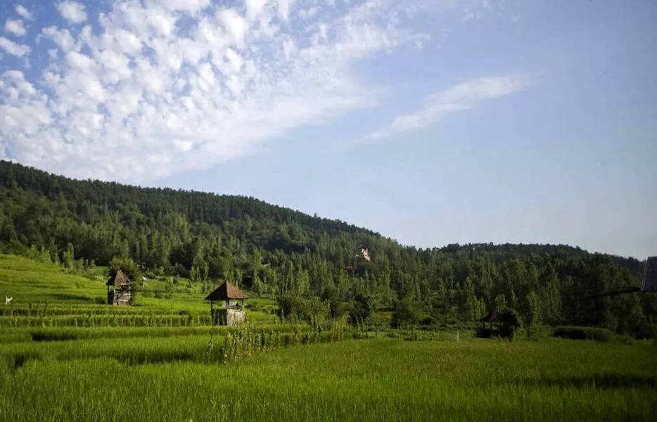 هفته آینده هوا خنک می‌شود