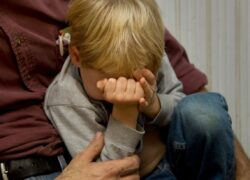 تربیت در صحنه زندگی تربیت در صحنه زندگی