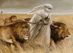 رفتار شناسی معاویه بن ابی سفیان در برابر امام علی علیه السلام