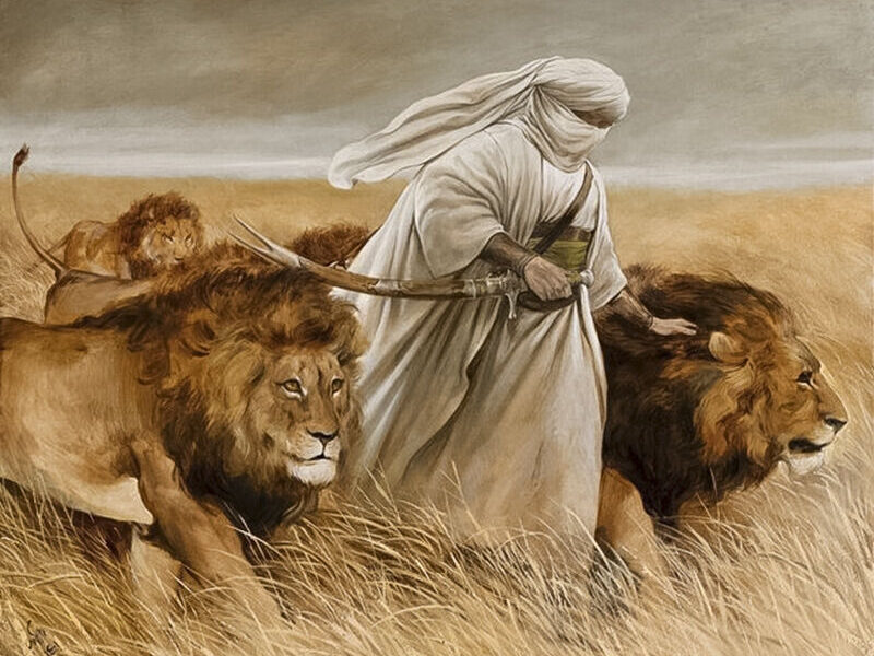 رفتار شناسی معاویه بن ابی سفیان در برابر امام علی علیه السلام