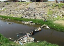 تأیید و تکذیب ترکیبات مضر در آب زاینده‌رود