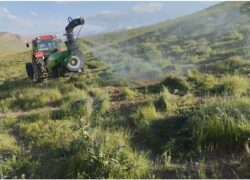 اجرای مقابله با ملخ کوهاندار در تاغ‌زارهای شمال استان