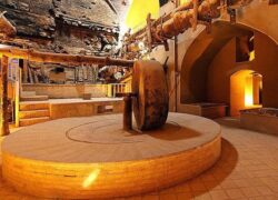 آغاز فاز دوم مرمت عصارخانه صفوی «جماله»