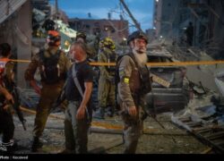 شیر گرفتار مگس‌ها