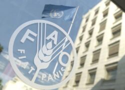 بازگشت ایران به شورای مرکزی فائو پس از ۱۵ سال تعلیق