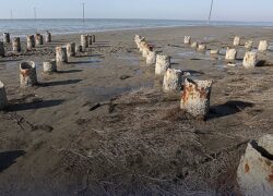 خلیج گرگان فقط ۴ سال تا خشک شدن کامل فاصله دارد!