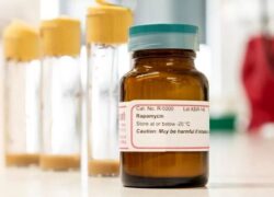 داروی ضدپیری کشف شد!