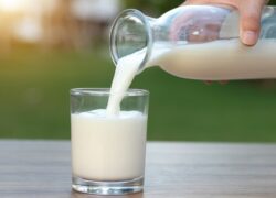شیر؛ آبرسانی مؤثرتر از آب