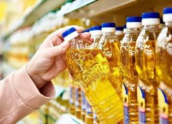 عرضه گسترده روغن در بازار