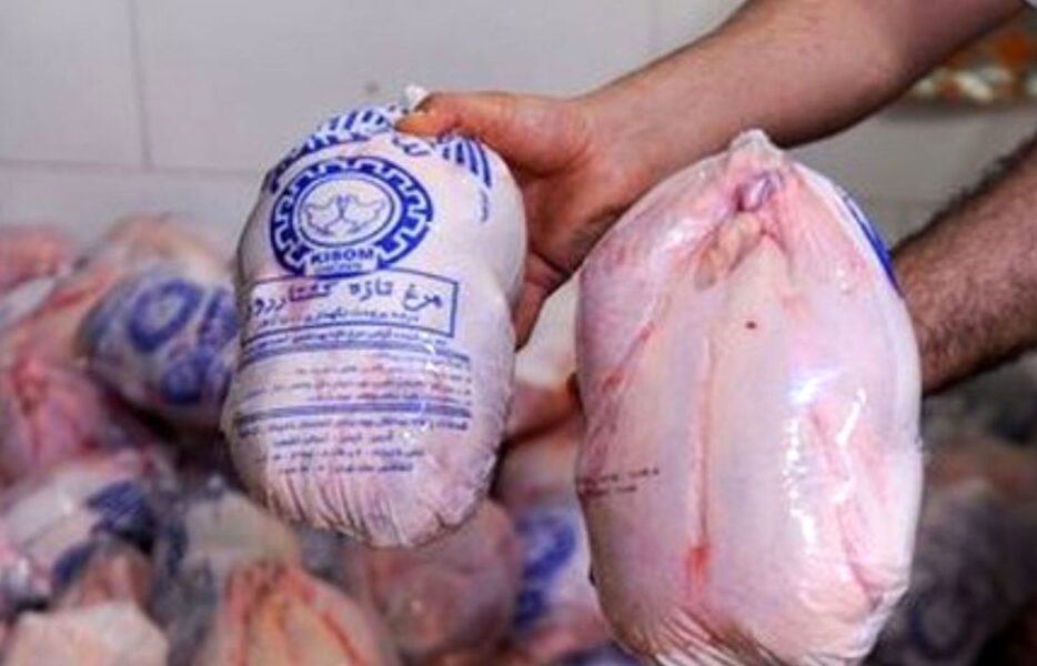 قیمت مرغ کاهش یافت