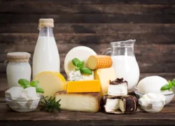 لبنیات سنتی یا پاستوریزه؟