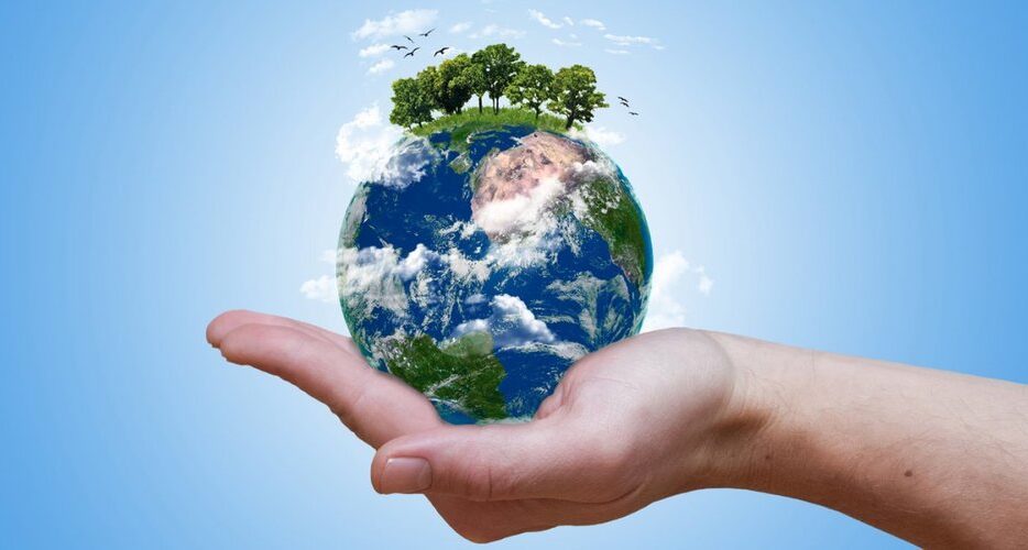 کشف یک الگوی جهانی که تنوع زیستی زمین را هدایت می‌کند