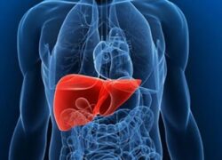 ۵ عادت روزانه برای نابودی کبد که باید بشناسید