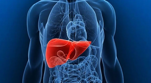 ۵ عادت روزانه برای نابودی کبد که باید بشناسید