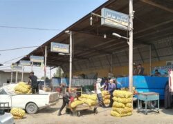 ساعت کار میدان میوه و تره‌بار اصفهان تغییر می‌کند