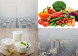 هشدار زرد هواشناسی و توصیههای بهداشتی برای اصفهان پرگرد و خاک هشدار زرد هواشناسی و توصیههای بهداشتی برای اصفهان پرگرد و خاک