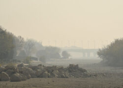 ترکیب بیابان‌زایی و مازوت خطر صدمات ریوی را افزایش می‌دهد