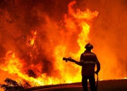 آتشسوزی گسترده در کارگاه روغن جاده زیار مهار شد آتشسوزی گسترده در کارگاه روغن جاده زیار مهار شد