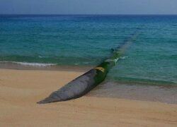 فاز نخست سامانه بزرگ انتقال آب از دریای عمان به بهرهبرداری رسید فاز نخست سامانه بزرگ انتقال آب از دریای عمان به بهرهبرداری رسید