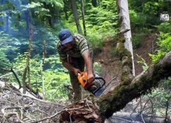 مجازات قانونی برای متخلفان تصرف اراضی ملی بر اساس ماده ۵۵