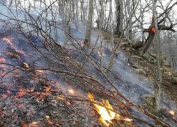 آتش‌سوزی در 132 هکتار از مراتع استان