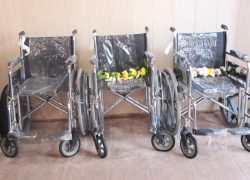 گل‌های همیشه بهار!