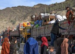 آمار سازمان ملل از اتباعی که از ایران اخراج شدند