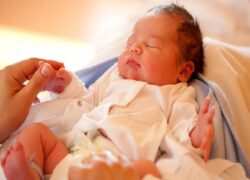 اجرای مرحله سوم طرح «یسنا»