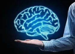 ترکیب تخم‌مرغ و فلفل سیاه؛ معجزه‌ای برای تقویت مغز و بدن
