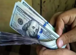 قیمت دلار امروز چهارشنبه ۱۱ شهریور ۱۴۰۵؛ دلار افزایش یافت