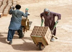 مجازات سنگینی که دولت برای اتباع وضع کرد