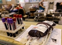 اهدای ۲۷۲ واحد خون در روز اربعین در مراکز انتقال خون استان