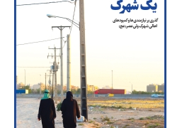 مشکلات یک شهرک