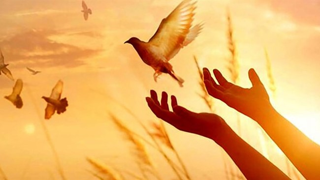 هدیه تولد متفاوت کودک کاشانی!