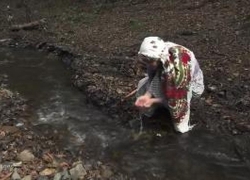 چهارشنبههای دوستداشتنی! چهارشنبههای دوستداشتنی!