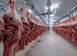 گوشت گوسفندی ۱۰هزار تومان ارزان شد